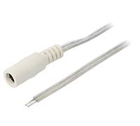 DC.CAB.8010.0300 Cavi DC 55/21 presa dritta 0,5mm² trasparente3 metriBQ