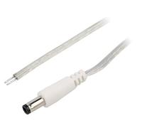 DC.CAB.8610.0300 Cavi DC 55/25 spina dritta 0,5mm² trasparente3 metriBQ C