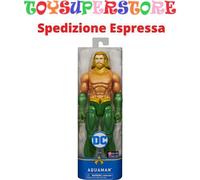 Spin Master DC Comics: Personaggi Comics Assortiti Action Figure per Bambini da 3+ Anni - 6056278