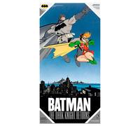 Dc Comics Batman Robin Crystal Poster Multicolor