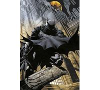 Dc Comics Batman Film Poster Lungo Live The Bat 61x91.5 CM 61x91.4cm Nuovo