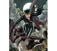 DC Comics Batman - Stampa su Tela Cat & Bat, Multicolore, 60 x 80 cm