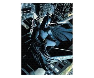 DC COMICS Batman Vigilante Jigsaw Puzzle 48x60 cm by SD TOYS