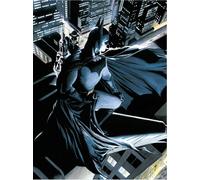 DC Comics Glass Poster Batman Watcher 30 x 40 cm