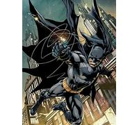 DC Comics Stampe su Tela, 60 x 80 cm, Poliestere, Multicolore, 60x80x3.2 cm