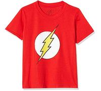 DC Comics Boy's Distressed Flash Logo T Shirt, Red, 3-4 Years UK