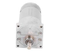 DC Gear Motor with Eccentric Shaft, Self - Locking Brass Coil, CW CCW Rotation, 24V Speed Reduction Geared Motor for Automation and Robotics (300 giri/min)