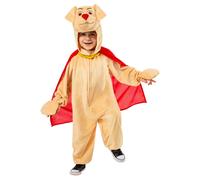 DC League Of Super-PetsBambini Krypto Costume (BN5287)