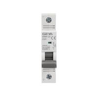 DC MCB 80A 100A 125A 6KA 1P 250VDC Mini interruttore automatico Din Rail DC Breakers GYM9-125 Protettori di dispersione a terra