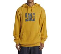 DC Shoes Felpa con Cappuccio da Uomo