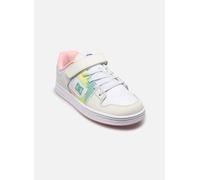 DC Shoes - MANTECA 4 V E Multicolore - Sneakers 36 Multicolore