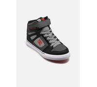 DC Shoes - Pure High-Top EV Multicolore - Sneakers 32 Multicolore