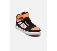 DC Shoes - Pure High-Top EV Multicolore - Sneakers 35 Multicolore