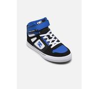 DC Shoes - Pure High-Top EV Multicolore - Sneakers 38 Multicolore