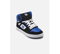 DC Shoes - PURE HIGH-TOP WC Multicolore - Sneakers 40 Multicolore
