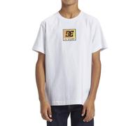 DC Shoes Racer SS Boy T-Shirt Bambini e Ragazzi (Pacco da 1)