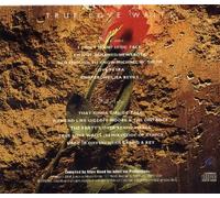 DC Talk, Newsboys, Michael W. Smith, Petra, Lisa Bevill, Distance, Kenny Marks, Code of Ethics, Degarmo & Key, - True Love Waits (UK Import)