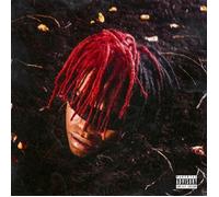 DC the Don Funeral (Vinyl LP) 12" Album