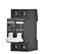 DC100V 150V 200V 250V Circuit Breaker Low Voltage AC DC MCB 2P C Curve 16A 20A 25A 32A 40A 50A 63A Solar Panel Battery Protector(2P DC100-250V,50A)