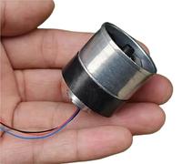DC12V 20000RPM Micro 16mm Motore Brushless Trifase Ventilatore a Condotto Brushless Cuscinetto a Sfere Alta Velocità(B style)
