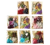 Dcaknri Vero E Proprio Mix Essiccato Pressato Foglia Pianta Campione Resina Epossidica Otturazioni per Stampi Nail Art Decalcomanie in Resina per Gioielli Artigianali Fai da Te Creazione Piccoli