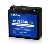 DCHOUSE 12V 30Ah Mini LiFePO4 Batteria al Litio Bassa Temperatura Cut-Off