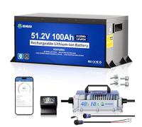 DCHOUSE 48V 100Ah LiFePO4 Batteria per Golf Cart con Caricabatterie da 18A