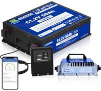 DCHOUSE Batteria 48V 50Ah con caricabatteria da 18A, app mobile Bluetooth e monitor LCD touch, spegnimento per basse temperature, BMS 2C-100A, corrente di picco 200A