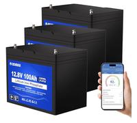 DCHOUSE Batteria al Litio 12V 100Ah Bluetooth 3PCS, Batteria al Litio 12V 1280Wh con Protezione 100A BMS e a Bassa Temperatura, Lifepo4 per motori elettrici, Caravan, Campeggio, Sistemi solare