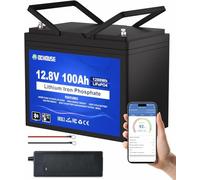 DCHOUSE Batteria al litio 12V 100Ah, Bluetooth e protezione da bassa temperatura, batteria al litio Gruppo 31, fino a 15.000 cicli, BMS da 100A, perfetta per motori elettrici, pannelli solari