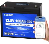 DCHOUSE Batteria al litio 12V 100Ah LiFePO4,Luce SOC,protezione dalle basse temperature,intelligente BMS 100A,fino a 15000 cicli,per motore da pesca alla traina, camper, sistema solare, off-grid