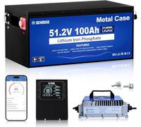 DCHOUSE Batteria al Litio 48V 100Ah con Custodia in Metallo, Batteria Lifepo4 BMS da 200A con Caricabatterie da 48V 18A, app mobile Bluetooth e monitor LCD, Corrente di picco 700A