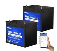 DCHOUSE Batteria Litio 12V 100AH Bluetooth 2PCS Con Protezione 100A BMS e a Bassa Temperatura,Batteria LiFePo4 12V 1280Wh Per Caravan, Campeggio,Sistemi Solare, Motori Per Pesca, Camping, Barche