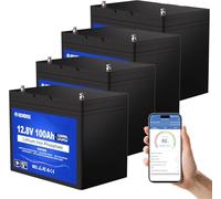 DCHOUSE Batteria Litio 12V 100AH Bluetooth 4PCS, Con Protezione 100A BMS e a Bassa Temperatura, Batteria LiFePo4 12V 1280Wh Per Caravan, Campeggio, Sistemi Solare, Motori Per Pesca, Camping, Barche