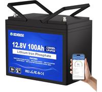 DCHOUSE Batteria Litio 12V 100AH Bluetooth con Protezione 100A BMS e a Bassa Temperatura, Batteria Lifepo4 per motori elettrici, Caravan, Campeggio, Sistemi solare