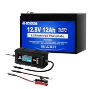 DCHOUSE Batteria Litio 12V 12Ah con Caricabatteria per Batteria LiFePo4 12V 5A, Max.15000 Cicli e Protezione 15A BMS per UPS, Ecoscandagli, scooter per disabili