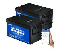 DCHOUSE Batteria Litio 12V 150Ah 2PCS Con Indicatori di Stato e 120A BMS integrato, Max.15000 Cicli, Batteria LiFePo4 12V Per Caravan, Campeggio, Pannello Solare, Motori per Pesca, Camping, Barche