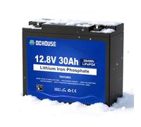 DCHOUSE Batteria Litio 12V 30Ah Mini con Spegnimento a Bassa Temperatura