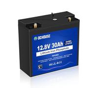 DCHOUSE Batteria Litio 12V 30Ah Mini, Max.15000 Cicli e Con Protezione BMS, 10 Anni di Vita, Ricaricabile Batteria LiFePo4 12V Per UPS, il Giro sul Giocattolo, Passeggino, Pannello Solare, Campeggio