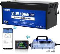 DCHOUSE Batteria Litio 48V 100Ah con Caricabatteria Batteria al Litio 48V 18A, BMS Integrato da 200A, Monitor LCD e App Mobile, Corrente di Picco 700A, LiFePO4 per Golf Cart, Barche, Camper
