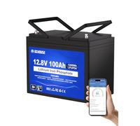 DCHOUSE Batteria Litio Bluetooth 12V 100Ah, Batteria al Litio 12V 1280Wh con Protezione 100A BMS e a Bassa Temperatura, Lifepo4 per motori elettrici，Caravan, Campeggio, Sistemi solare