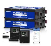 DCHOUSE Pack 2 Batterie LiFePO4 48V 50Ah con Bluetooth e Monitor, BMS 100A, Protezione Bassa Temperatura, Carcassa Metallica, per Golf Cart, Camper e Sistema Solare