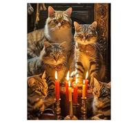 DCIDBEI 30x40CM Adulto Diamond Painting Famiglia Gatti, Pittura Diamante Animale per Bambini, Kit Punto Croce Anime, Attivita Creativa/Decorazione da Parete/Regalo Perfetto per Amici e Familiari