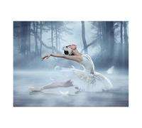 DCIDBEI 40x30CM 5D Rotondo Diamond Painting Ballerino Classico, Puzzle Diamante Lago dei Cigni per Bambini, Decorazione Murale Ristorante Ufficio Soggiorno per Adulti/Regalo di Festa