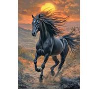 DCIDBEI Diamond Painting Pictures Cavallo che Salta 40x50cm DIY Dipingi con i numeri Cavallo Frisone Diamond Painting Horse Quadro con Cavalli Tramonto Nero Strass Ricamo Passione Coraggio Lealtà