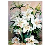 DCIDBEI Grande e trasparente Diamond Painting semplice giglio 40 x 50 cm pittura con i numeri, fiori giglio fai da te per adulti, fiori gigli, purezza, solennità, pittura con diamanti, colore bianco