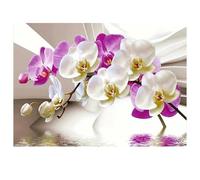 DCIDBEI Pittura Diamante Orchidee 40x30cm Painting Diamond 5D Orchidea Diamond Painting Orchidea Dipingere con i Numeri Orchidee Artificiali Grandi Decorazioni Punto Croce Set Mosaico per Adulti