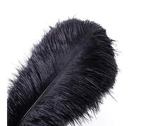 DCRWVCTON 20 piume naturali di struzzo piuma 10-12 pollici (25-30 cm) per i centri di nozze decorazione della casa (25-30 cm), nero)