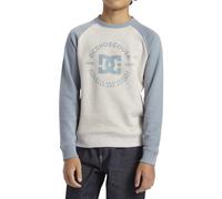 Dcshoes Dc Star Pilot Raglan Crew Boy Felpe, Multicolore, XS Uomo