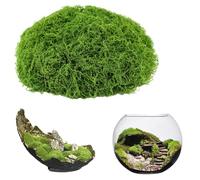ddckj 200g Muschio Stabilizzato Verde Chiaro Muschio Finto per Decorazioni per Lavori Artigianali Decorazioni Natalizie da Giardino e da Tavola